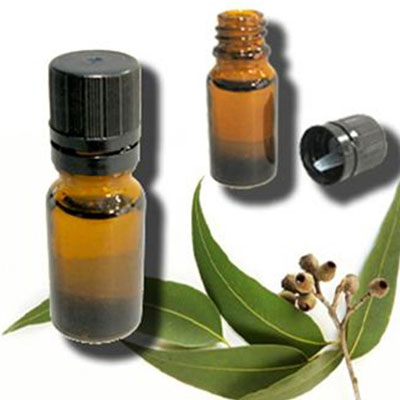 Eucalyptus Oil Punjab