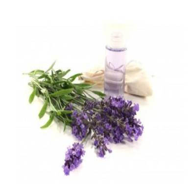Lavender Oil Rajasthan
