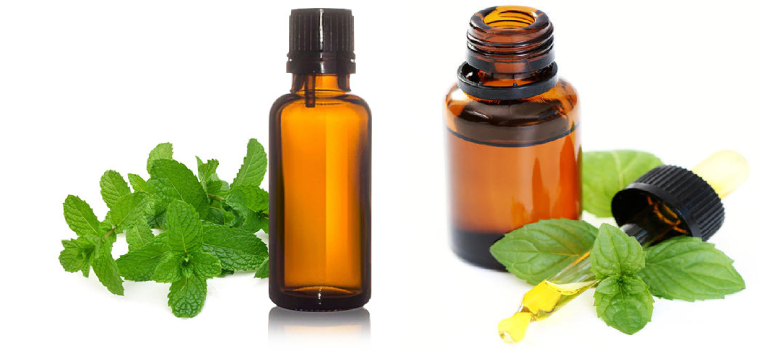 Mentha Citrata Oil- A Natural Herb With Outstanding Qualities