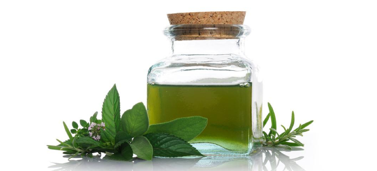 What Are The Attributes Of Mentha Spearment Oil?