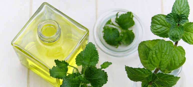 Dementholised Peppermint Oil Suppliers